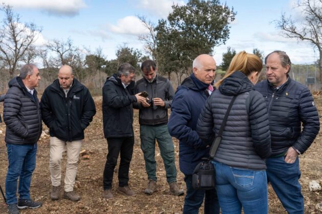 Suelta de la segunda pareja de linces, Vi&ntilde;egra y Villano, en el Cerrato Palentino. FOTO - FERNANDO MANRIQUE
