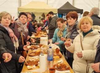 feria matanza villada