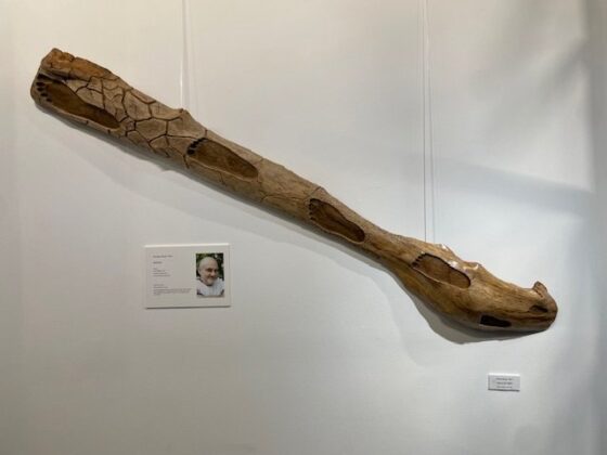 Exposici&oacute;n Tempus Fugit