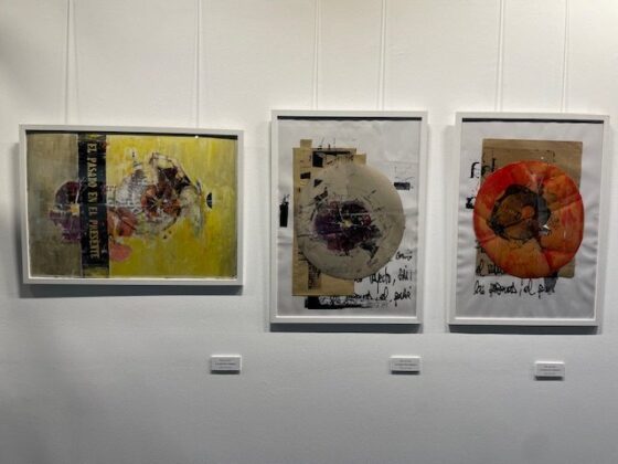 Exposici&oacute;n Tempus Fugit