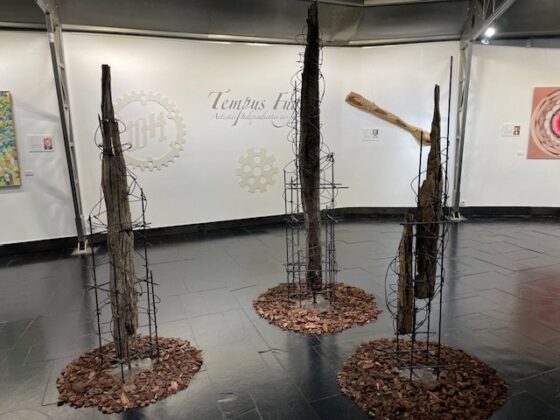 Exposici&oacute;n Tempus Fugit