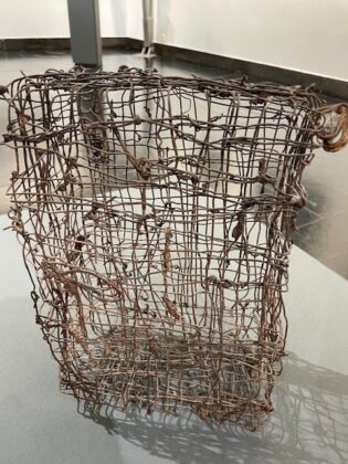 Exposici&oacute;n Tempus Fugit