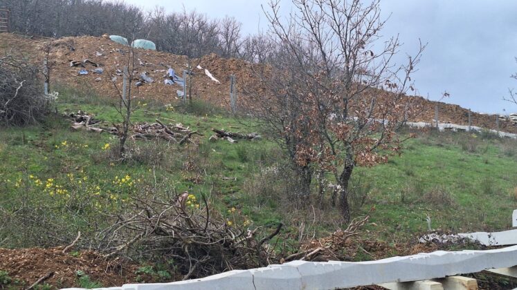 Fotograf&iacute;as tomadas por la Mesa E&oacute;lica Palentina