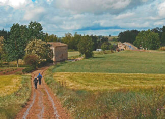 Fundación Santa María La Real publica guia cambio climático camino de santiago