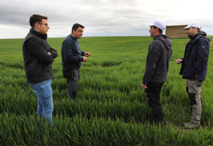 Programa Cultiva Autilla del Pino (8) Estancia formativa en la explotación agrícola de Jesús Revilla (21) en Autilla del Pino (Palencia), en la imagen junto a los alumnos, Alberto López(D) y Guillermo Gallardo(2D)