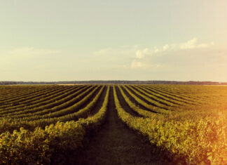 Asaja considera “insólito” convocar ayudas sin resolver antes las del año anterior asaja