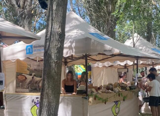 ferias locales diputación palentina