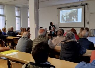 guardo universidad experiencia