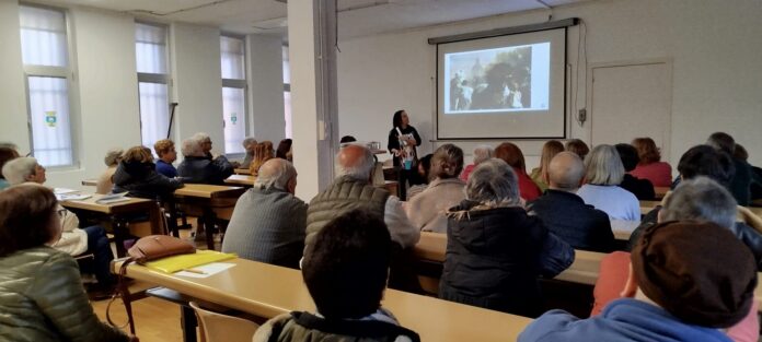 guardo guardo universidad experiencia