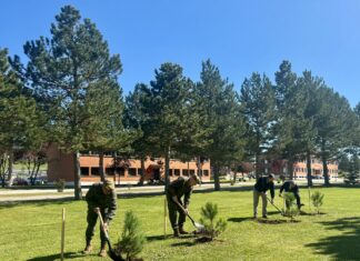La Fundación Iberdrola España reforesta con 40.656 árboles y arbustos autóctonos la Base burgalesa Cid Campeador