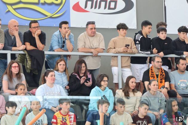 Afici&oacute;n en el Pabell&oacute;n Mariano Haro apoyando al Club Balonmano Palencia Femenino. @fotografiardiaz