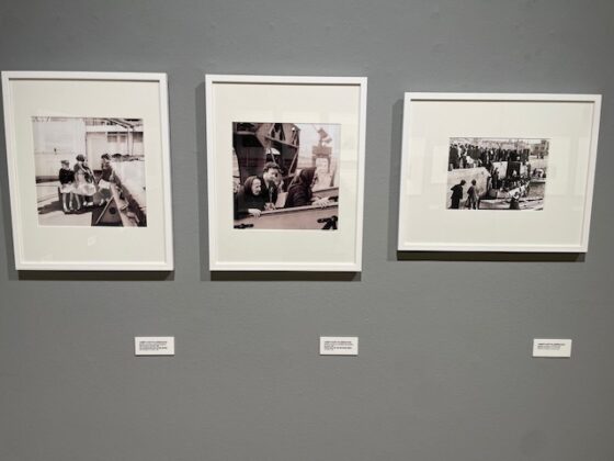 Alberto Mart&iacute; Villardefrancos