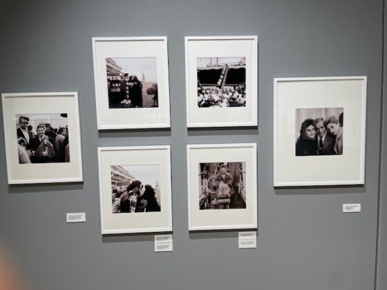 Alberto Mart&iacute; Villardefrancos