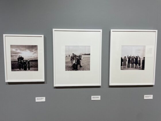 Alberto Mart&iacute; Villardefrancos