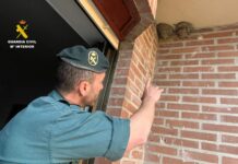 Guardia Civil, nidos Avión Común