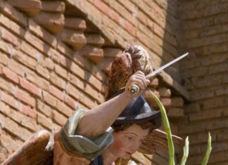 Fuentes de nava san miguel (1)