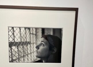 Vidas de mujeres y un viaje a la Mancha