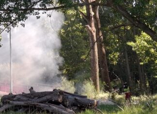 El peligro de la ‘pólvora vegetal’ en Palencia