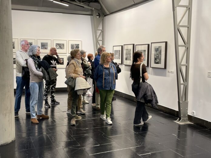 Museo de Palencia Museo de Palencia
