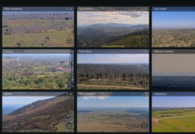 Videovigilancia forestal