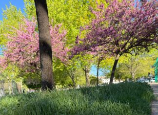 Parques y zonas verdes