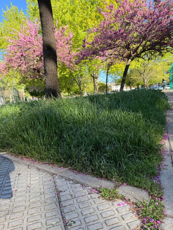 Parques y zonas verdes