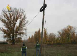Seis investigados por siete nuevos robos de cable telefónico en Palencia