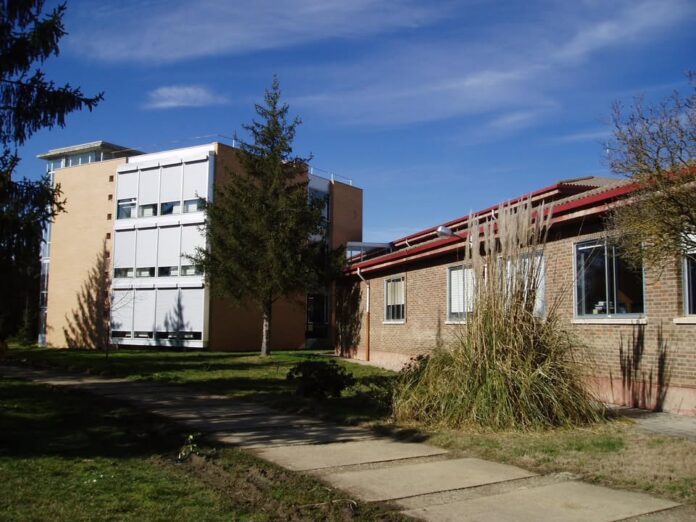 Sem tob de carrion Sem tob de carrion