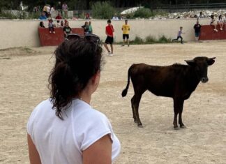 Torquemada organiza una nueva capea en Sotoverde Tradición torquemada capea