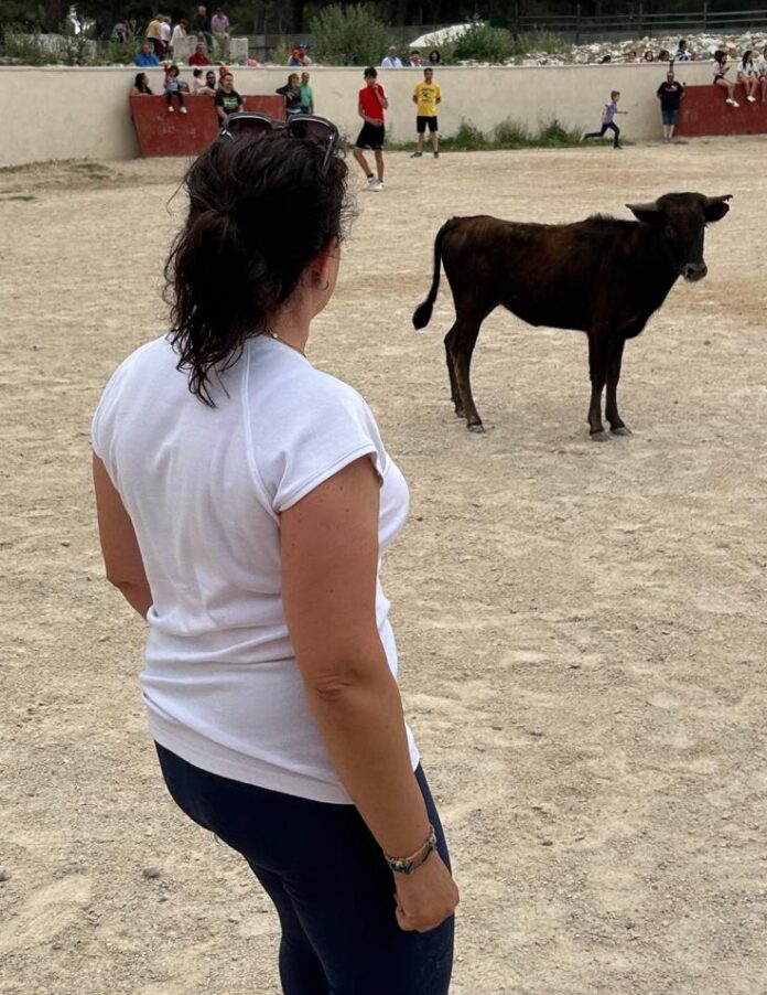 torquemada capea torquemada capea