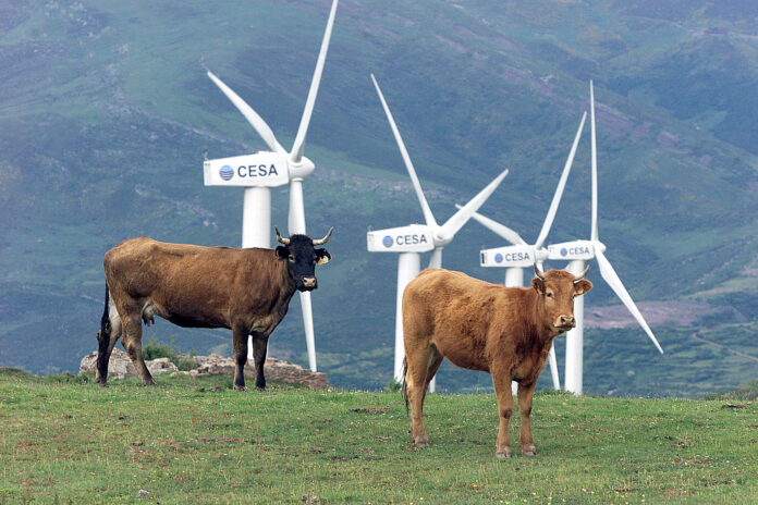 Aerogeneradores del parque eólico El Pical, en Barruelo de Santullán, Palencia