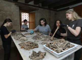 Un tesoro único bajo la catedral de Palencia
