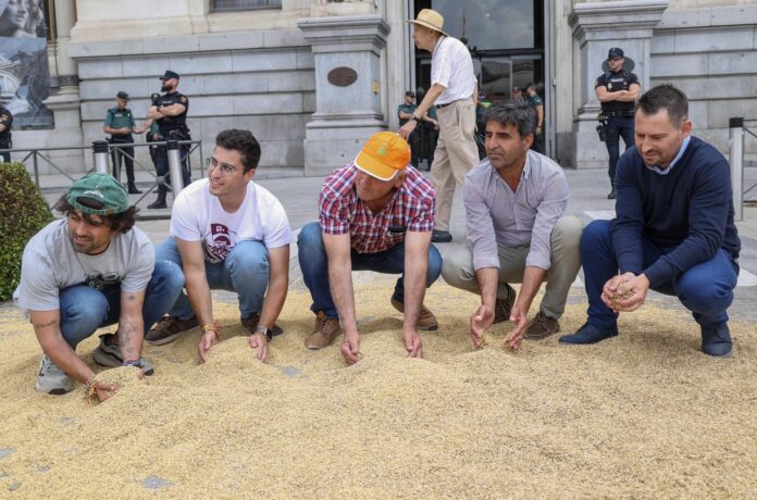 Concentración de agricultores contra las importaciones de cereal marroquí