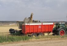 La Junta comenzará con el abono de los anticipos de la campaña 2025 de la PAC en la segunda quincena de octubre