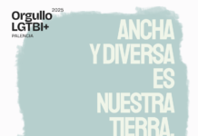 Palencia ya tiene programa para el Orgullo LGTBI+ 2025, que se celebrará hasta julio Cartel Orgullo LGTBI+ Palencia 2025