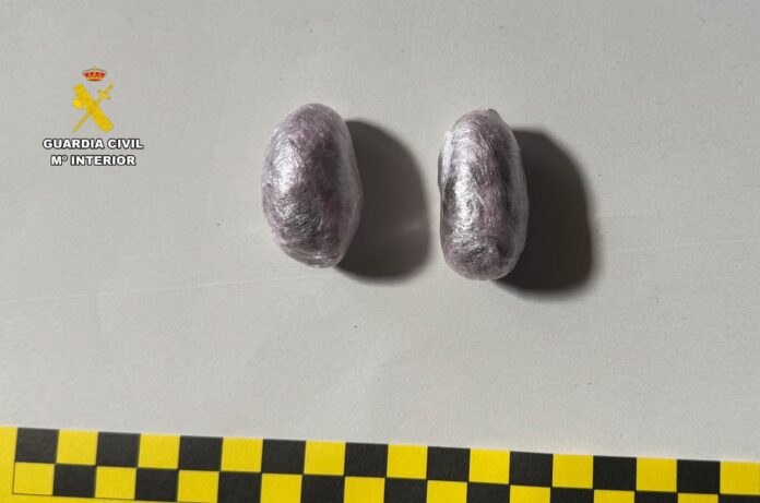 Detenida una mujer al intentar introducir sustancias estupefacientes en la prisión de Dueñas