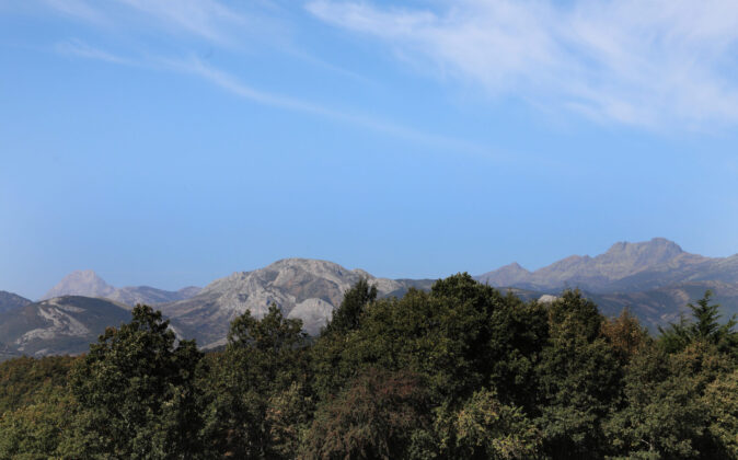 Monta&ntilde;a palentina.