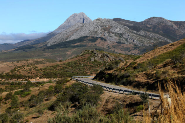 Monta&ntilde;a palentina.
