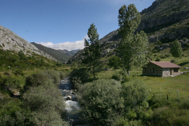 Monta&ntilde;a palentina.