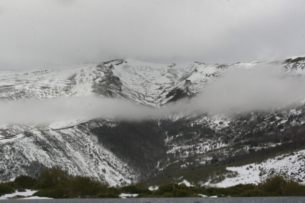 Monta&ntilde;a palentina.