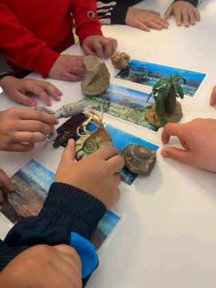 PROGRAMA EDUCATIVO F&Oacute;SILES