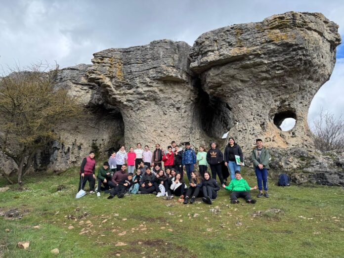 PROGRAMA EDUCATIVO LAS TUERCES