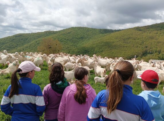 Taller &ldquo;Que me quiten lo pastao&rdquo;