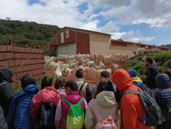 Taller &ldquo;Que me quiten lo pastao&rdquo;