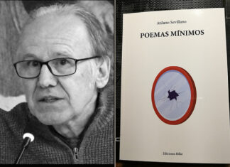 Portada-de-Poemas-mínimos