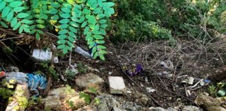 Basura en el río Carrión