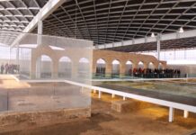 Villa Romana de la Olmeda