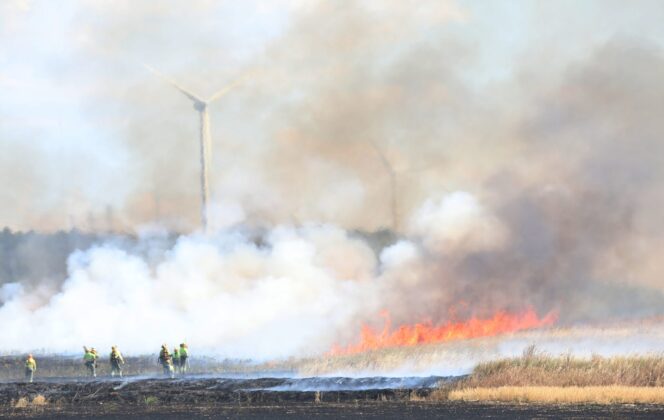 Incendio agr&iacute;cola de cultivos de cebada y vezas sin cosechar en el t&eacute;rmino de Villalob&oacute;n, han intervenido bomberos de la capital, Diputaci&oacute;n y Junta de Castilla y Le&oacute;n. Fotograf&iacute;a: Br&aacute;gimo (ICAL)