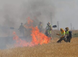 Controlado un incendio de rastrojos en Villalobón que no ha causado daños personales Incendio agrícola de cultivos de cebada y vezas sin cosechar en el término de Villalobón, han intervenido bomberos de la capital, Diputación y Junta de Castilla y León. Fotografía: Brágimo (ICAL)