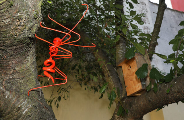 Exposici&oacute;n 'Bichos' de Jos&eacute; Castrillo en el patio del museo de arte contempor&aacute;neo de Carri&oacute;n de los Condes (Palencia). Br&aacute;gimo (ICAL)